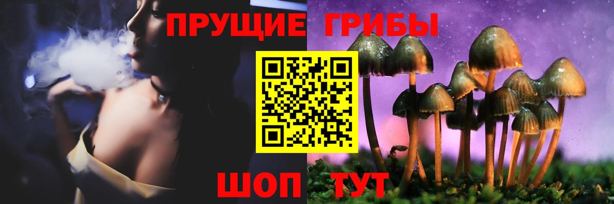 Псилоцибиновые грибы прущие грибы  Вход с VPN  Татарск  цены наркотик  Галлюциногенные грибы GOLDEN TEACHER 